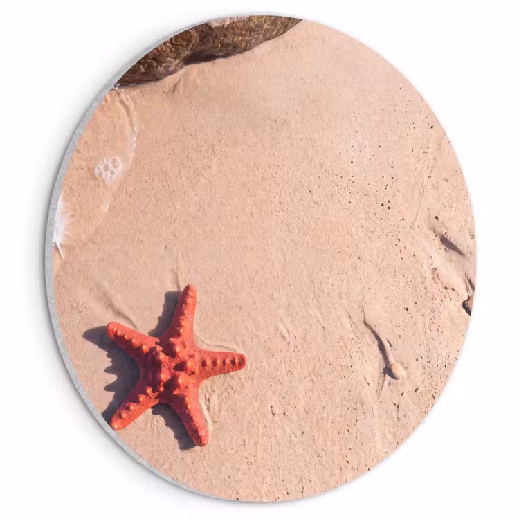 Dieren - Strand - Zee - Natuur - Rood Akoestische PET Vilt - Rond klein -3d