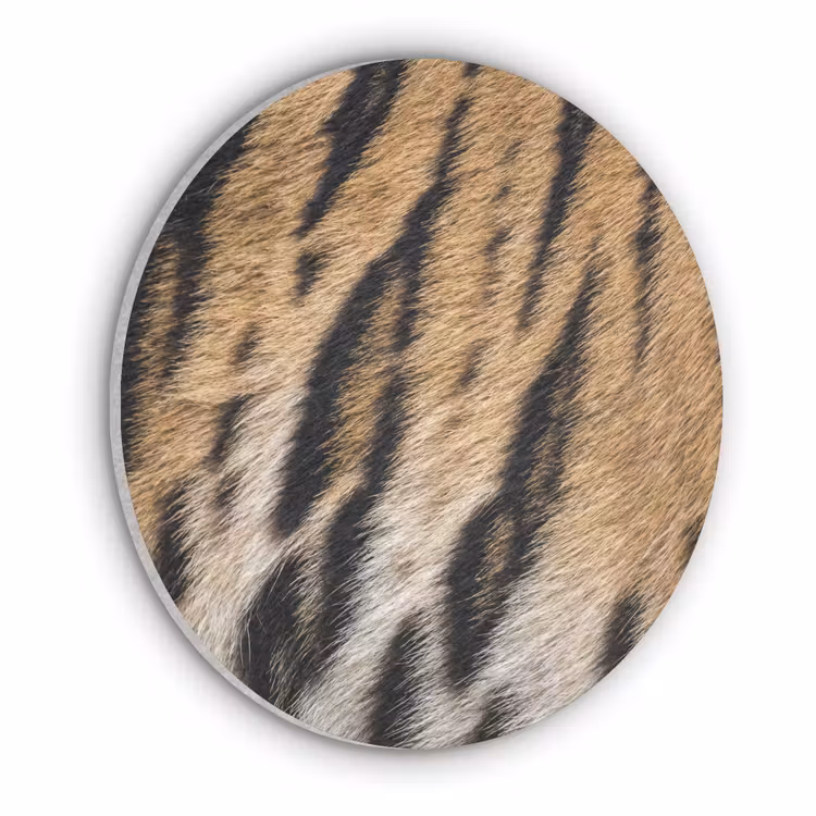Tijgervacht - Klassiek - Zwart Akoestische PET Vilt - Rond klein -3d