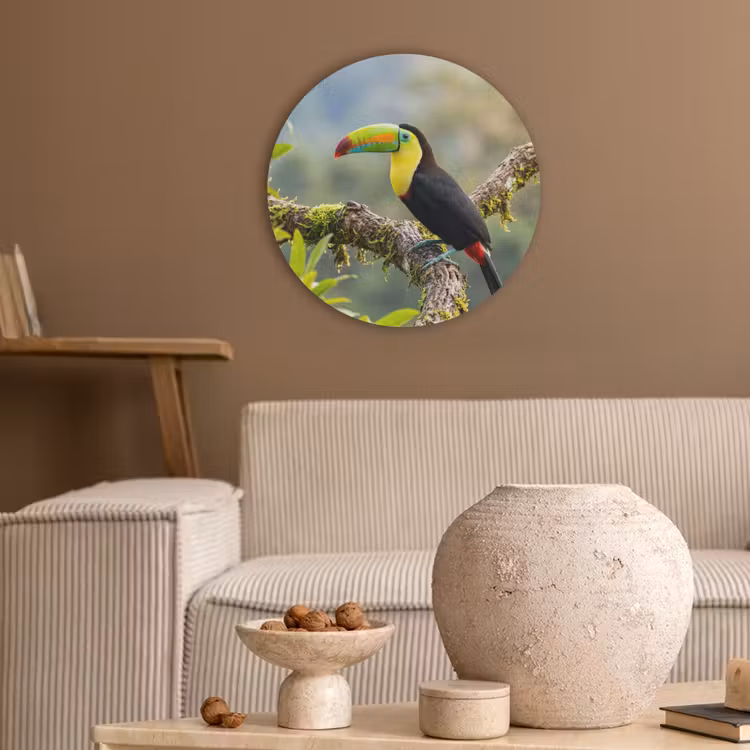 Toekan - Jungle - Natuur - Kleurrijk Akoestische PET Vilt - Rond klein -sfeer1