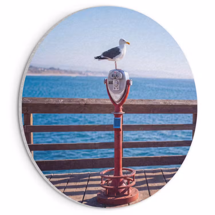 Vogel - Verrekijker - Kust - Zee - Blauw Akoestische PET Vilt - Rond klein -3d