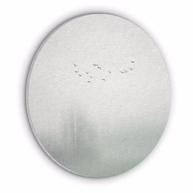 Vogel - Vlucht - Natuur - Minimalistisch Akoestische PET Vilt - Rond klein -3d