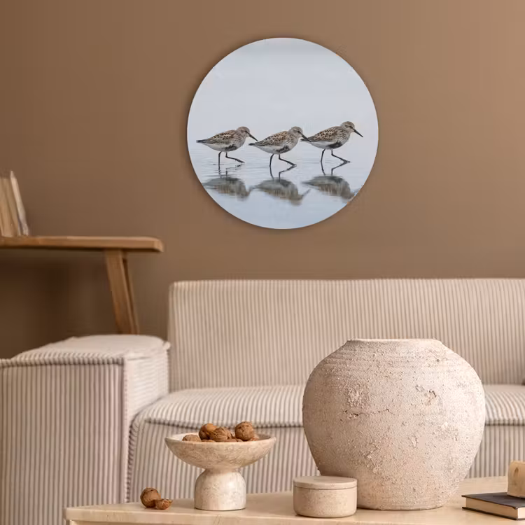 Vogels - Water - Grijs Akoestische PET Vilt - Rond klein -sfeer1