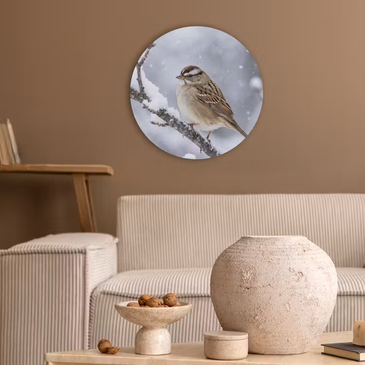 Vogel - Tak - Sneeuw - Winter Akoestische PET Vilt - Rond klein -sfeer1