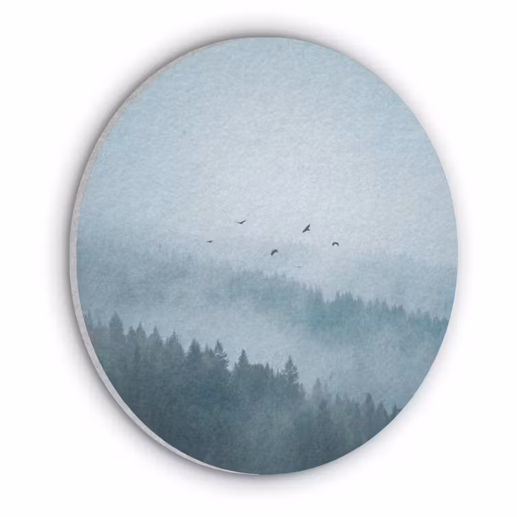Bos - Mist - Vogels - Natuur - Groen Akoestische PET Vilt - Rond klein -3d