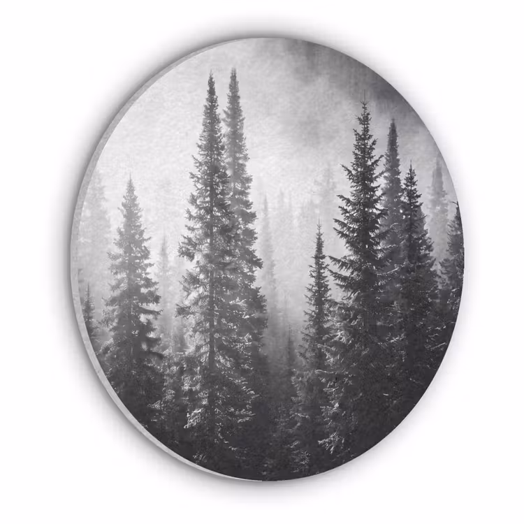 Bos - Mist - Winter - Monochroom - Natuur Akoestische PET Vilt - Rond klein -3d