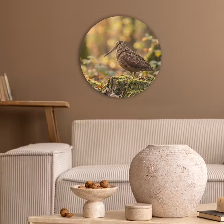 Houtsnip - Bos - Bladeren - Herfst - Gecamoufleerd Akoestische PET Vilt - Rond klein -sfeer1