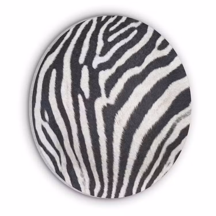Zebra - Vacht - Klassiek - Zwart - Wit Akoestische PET Vilt - Rond klein -3d