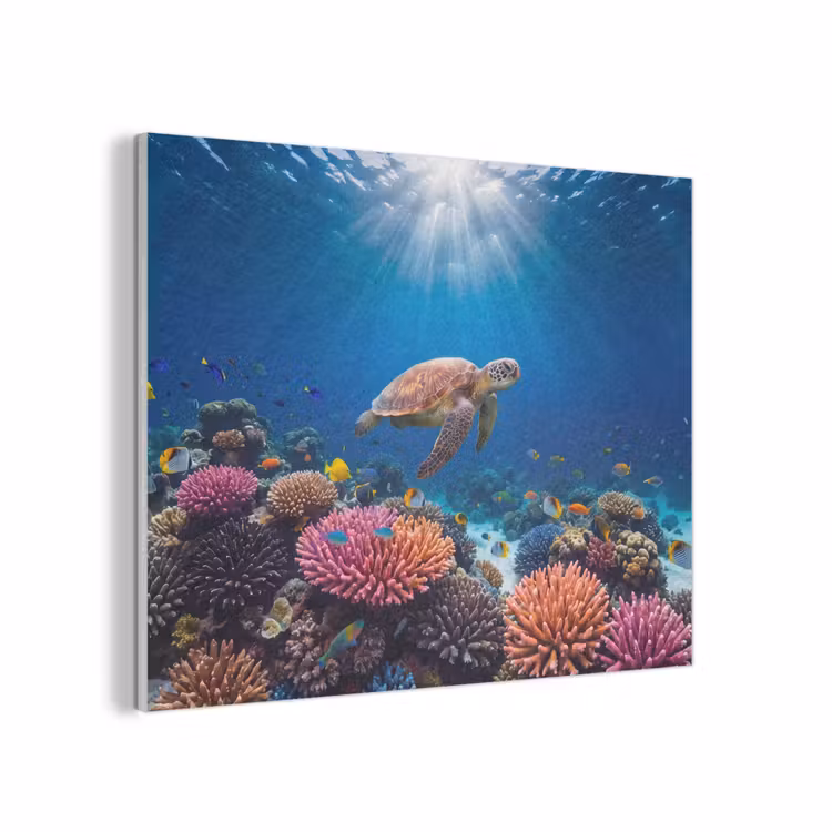 Schildpad - Koraalrif - Oceaan - Dieren - Blauw PET vilt klein -3d