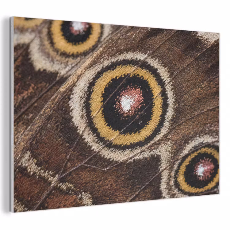 Vlinder - Vleugel - Abstract PET vilt klein -3d