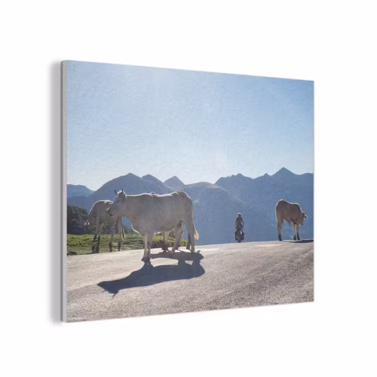 Schotse hooglander - Licht - Berg - Natuur PET vilt klein -3d
