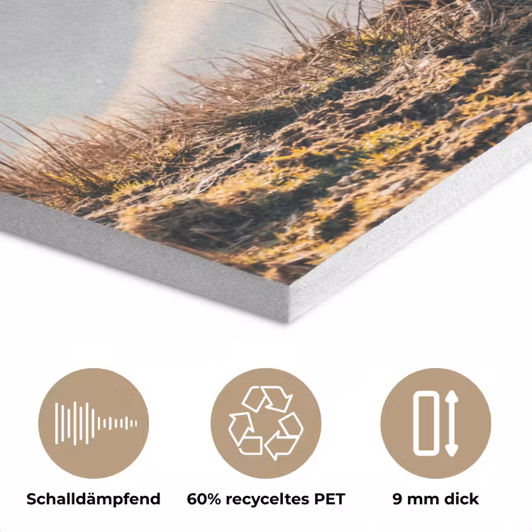Schotse hooglander - Dieren - Landelijk - Landschap - Koe - Natuur PET vilt klein -closeup_DE