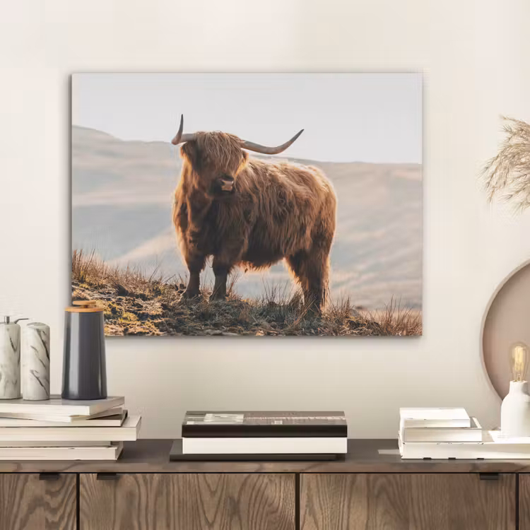 Schotse hooglander - Dieren - Landelijk - Landschap - Koe - Natuur PET vilt klein -sfeer1