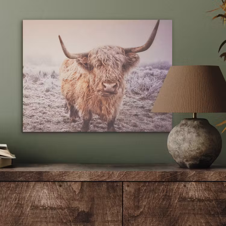 Schotse hooglanders - Licht - Lucht - Natuur PET vilt klein -sfeer2