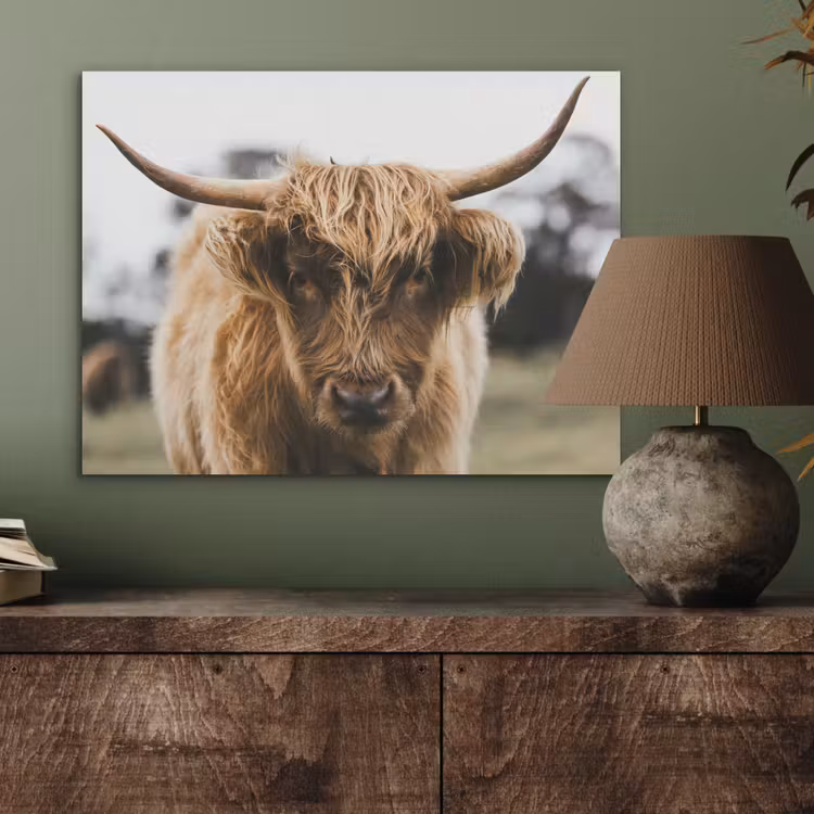 Schotse Hooglander - Koe - Gras - Dieren - Natuur PET vilt klein -sfeer2