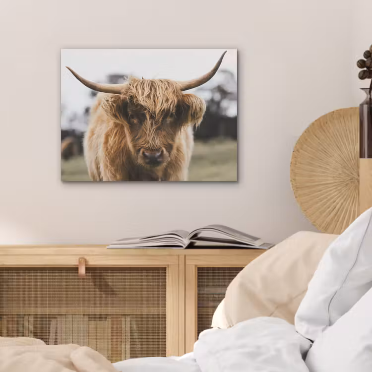 Schotse Hooglander - Koe - Gras - Dieren - Natuur PET vilt klein -sfeer3