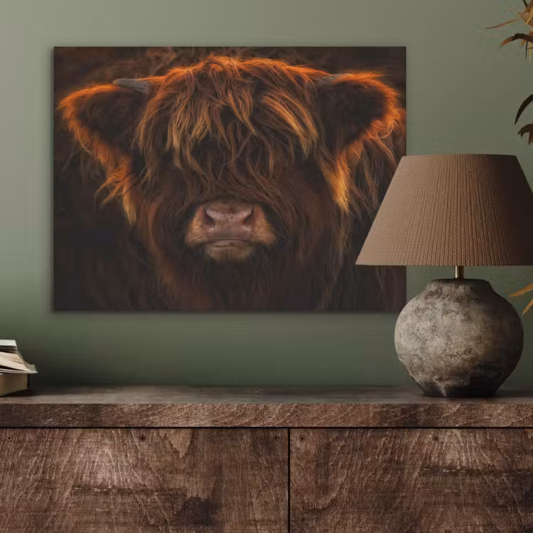Schotse Hooglander - Koe - Portret - Dieren PET vilt klein -sfeer2
