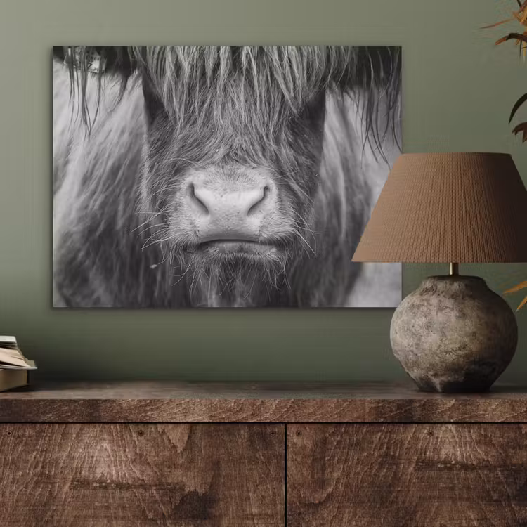 Schotse hooglander - Koe - Zwart - Wit - Dieren PET vilt klein -sfeer2