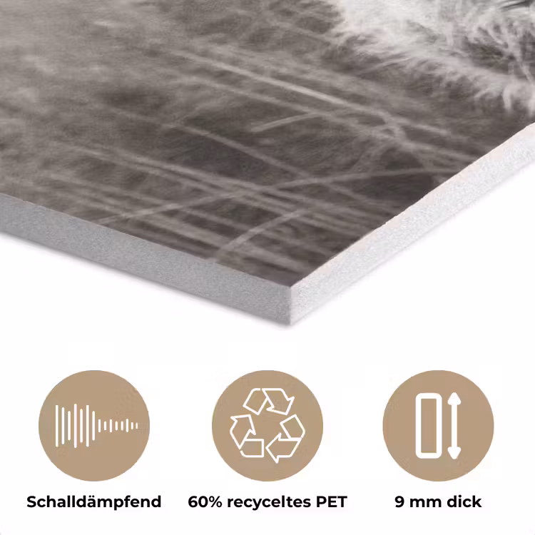 Schotse hooglander - Koe - Dieren - Zwart - Wit PET vilt klein -closeup_DE