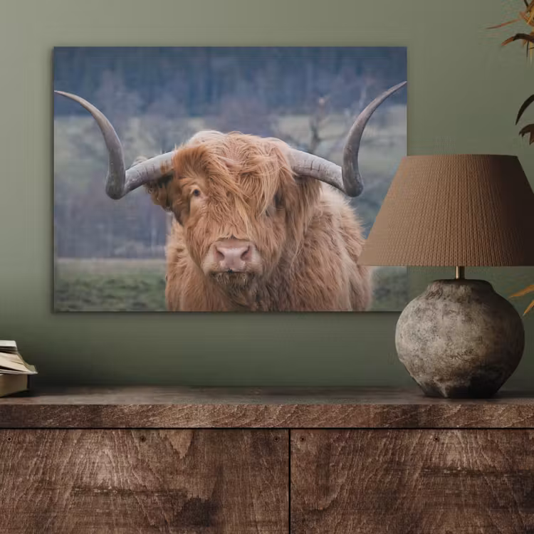 Schotse Hooglander - Koeienkop - Landschap - Natuur - Koe PET vilt klein -sfeer2