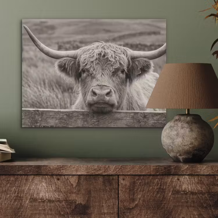 Schotse hooglander - Zwart - Wit - Hout PET vilt klein -sfeer2