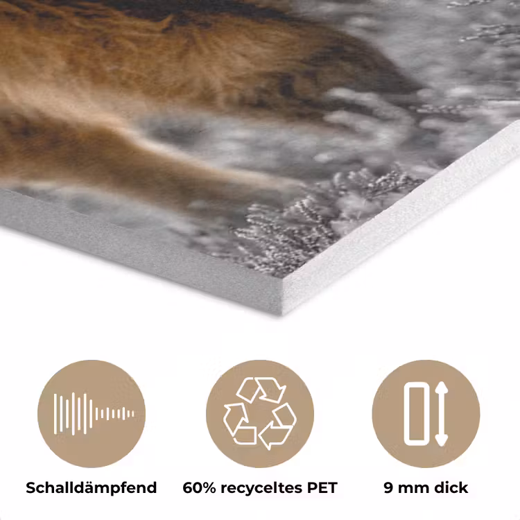 Schotse Hooglander - Dieren - Bruin - Koe - Zwart - Wit - Natuur PET vilt klein -closeup_DE
