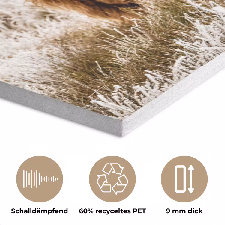 Schotse hooglander - Koe - Natuur - Winter PET vilt klein -closeup_DE