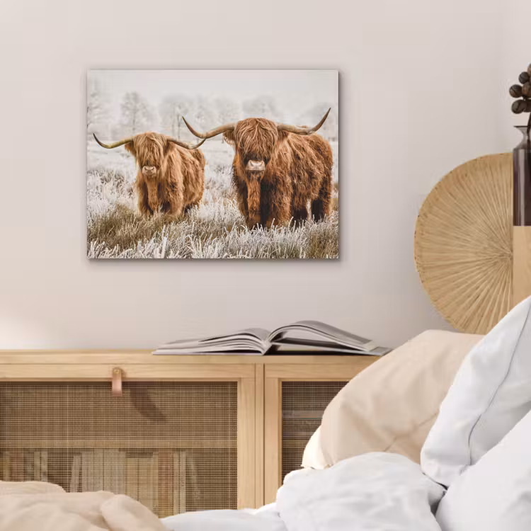 Schotse hooglander - Koe - Natuur - Winter PET vilt klein -sfeer3