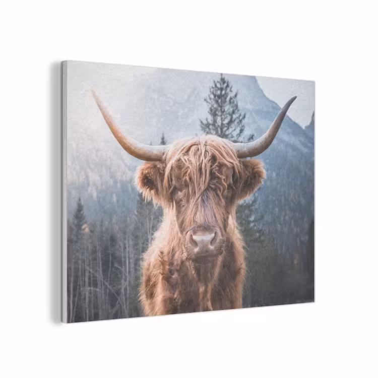 Schotse hooglander - Koe - Dieren - Berg - Natuur PET vilt klein -3d