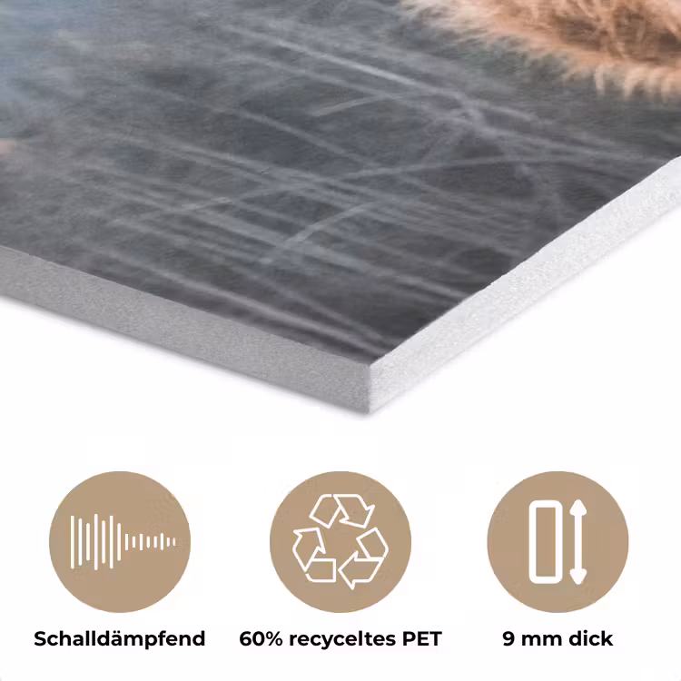 Schotse hooglander - Koe - Dieren - Berg - Natuur PET vilt klein -closeup_DE