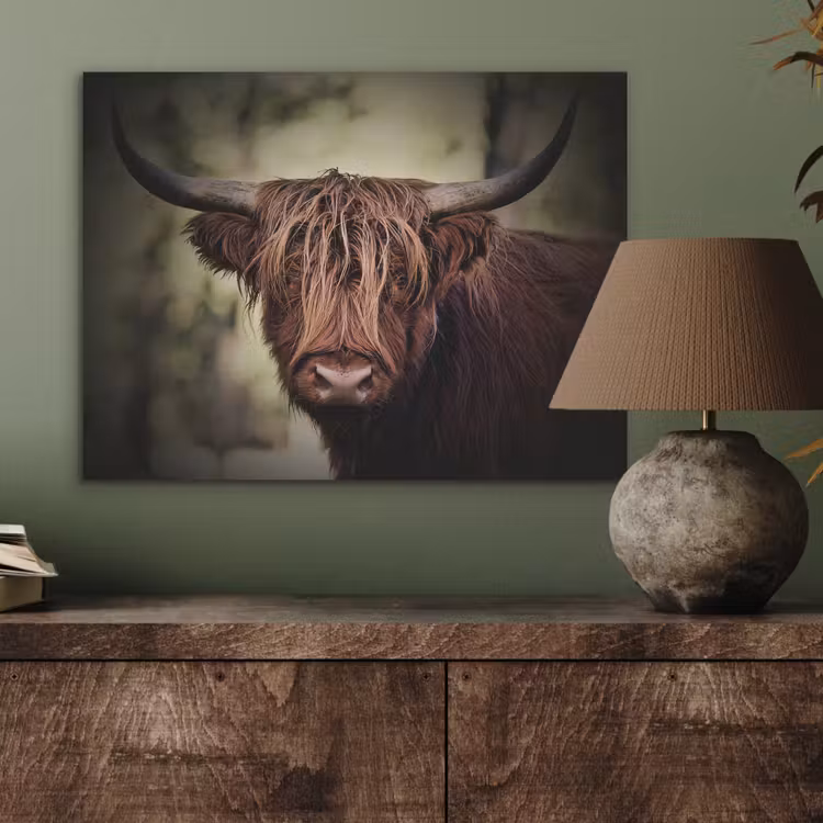 Schotse hooglander - Licht - Portret - Natuur PET vilt klein -sfeer2