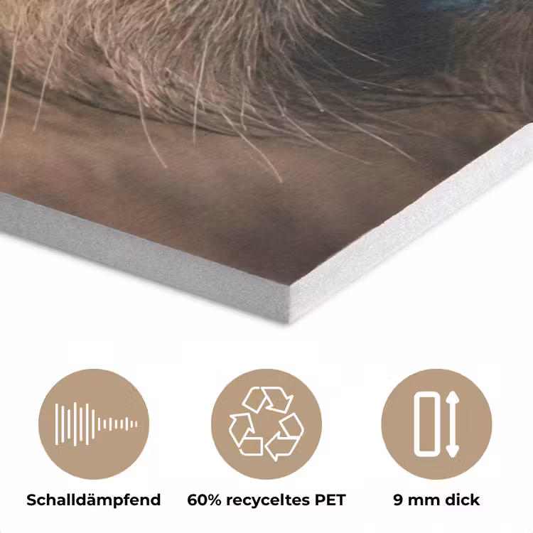 Schotse hooglander - Neus - Bruin PET vilt klein -closeup_DE