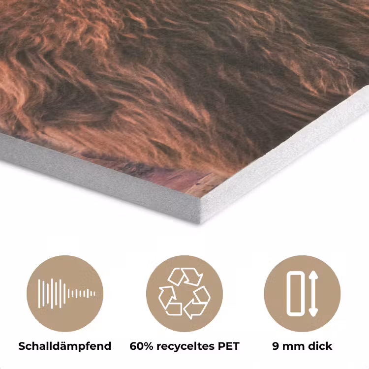 Schotse hooglander - Zon - Horizon - Koe - Dieren PET vilt klein -closeup_DE