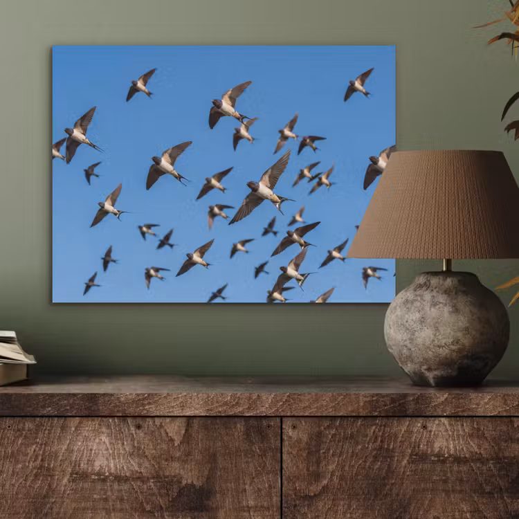 Zwaluwen - Vliegen - Blauw PET vilt klein -sfeer2