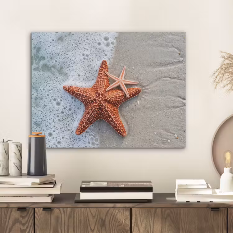 Zeester - Strand - Zee PET vilt klein -sfeer1