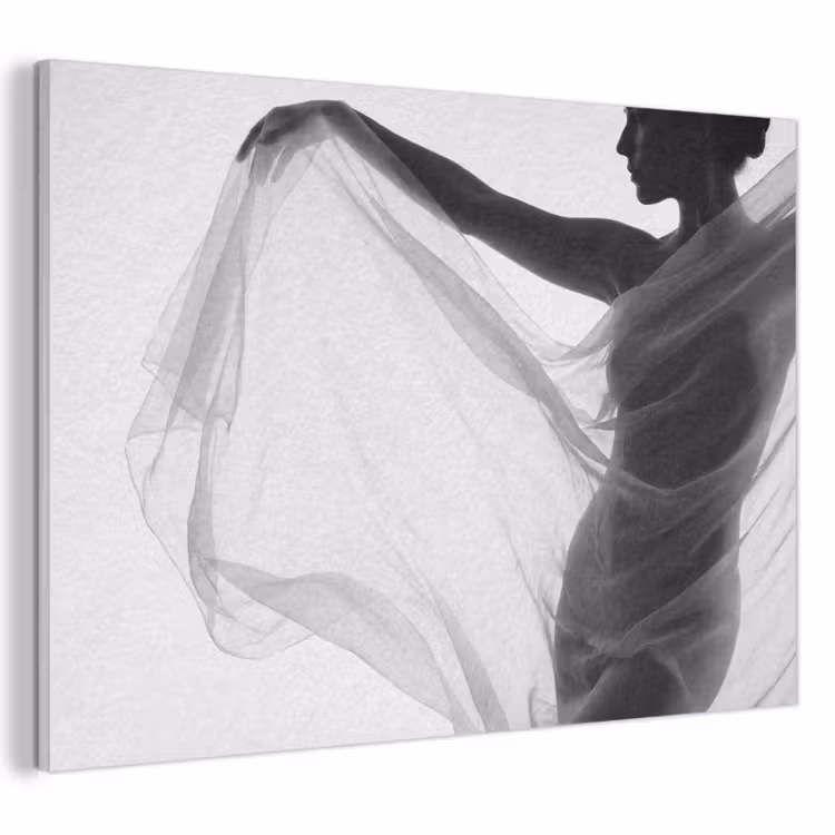 Silhouet - Sluier - Vormen - Zwart - Wit - Sensueel PET vilt klein -3d