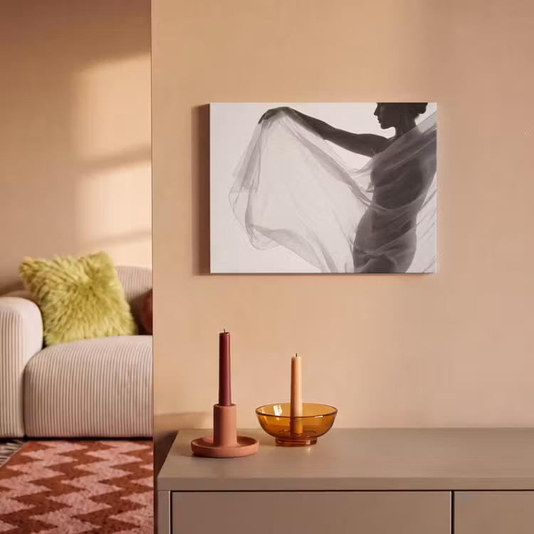 Silhouet - Sluier - Vormen - Zwart - Wit - Sensueel PET vilt klein -sfeer1