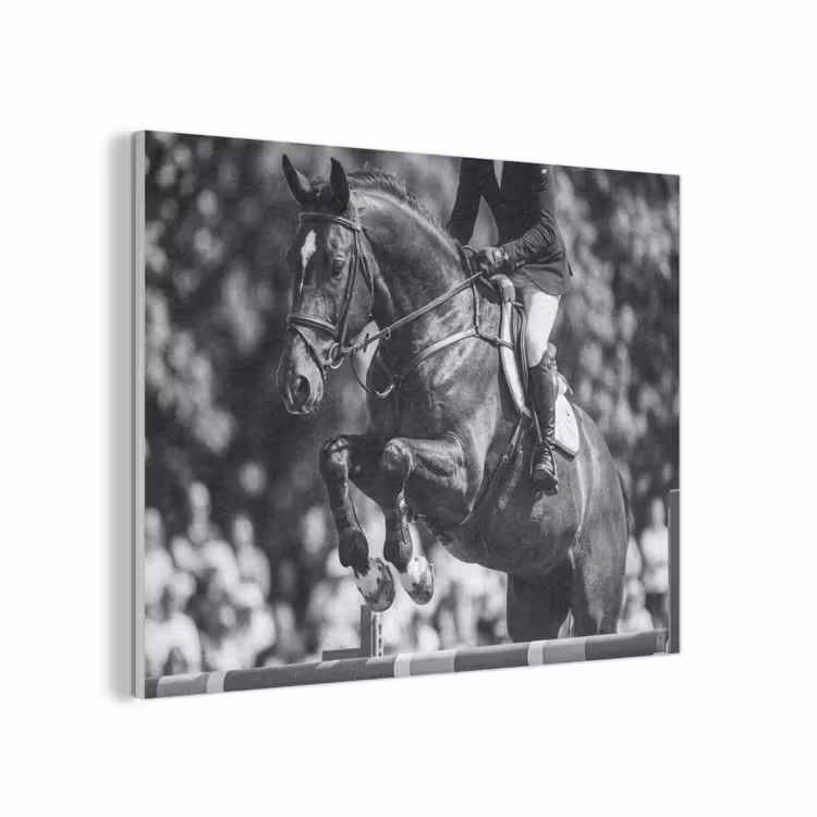 Springen - Paard - Zwart - Wit PET vilt klein -3d