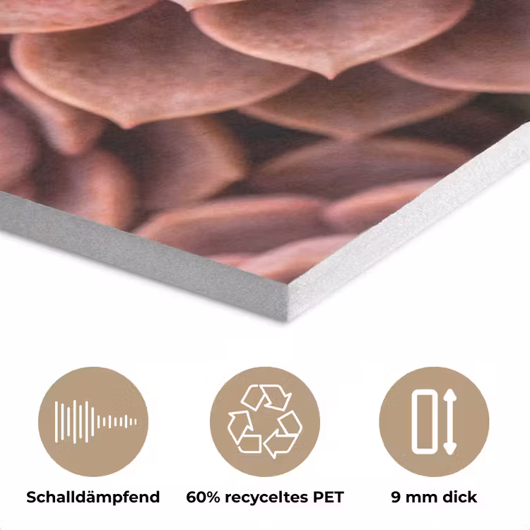 Vetplant - Organisch - Roze PET vilt klein -closeup_DE