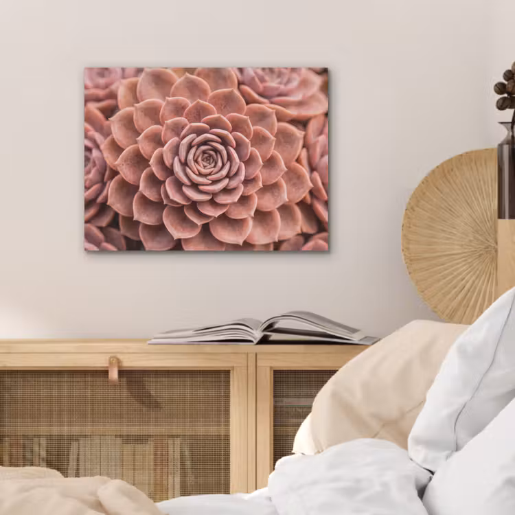 Vetplant - Organisch - Roze PET vilt klein -sfeer3