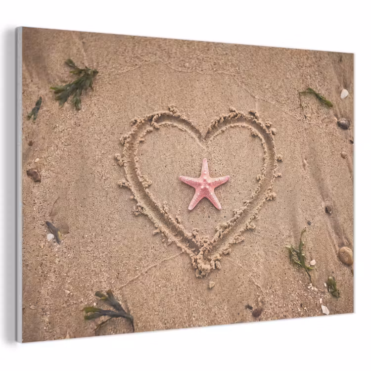 Dieren - Hart - Strand - Zand - Roze PET vilt klein -3d