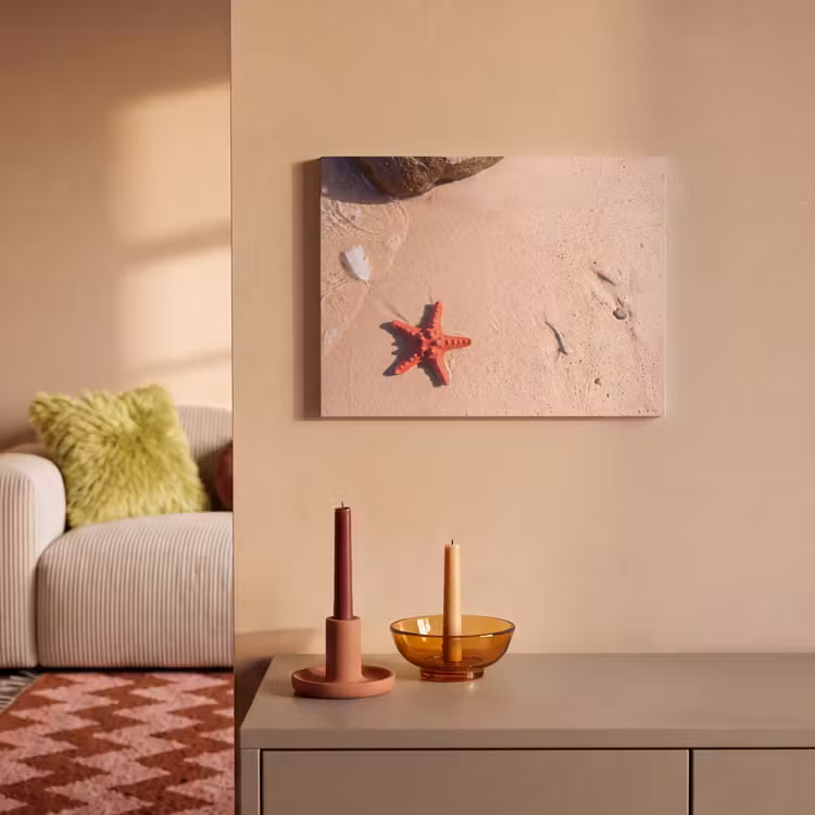 Dieren - Strand - Zee - Natuur - Rood PET vilt klein -sfeer1