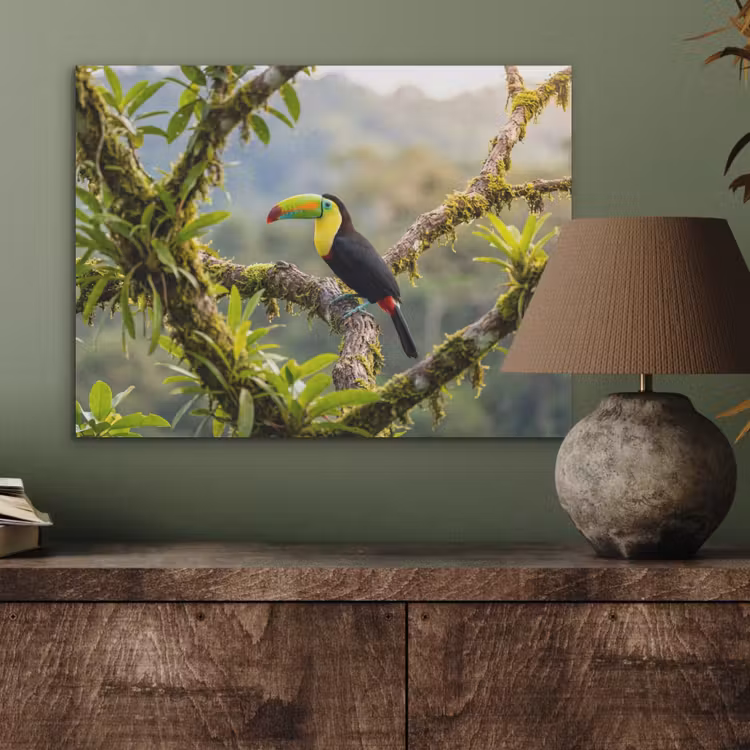 Toekan - Jungle - Natuur - Kleurrijk PET vilt klein -sfeer2