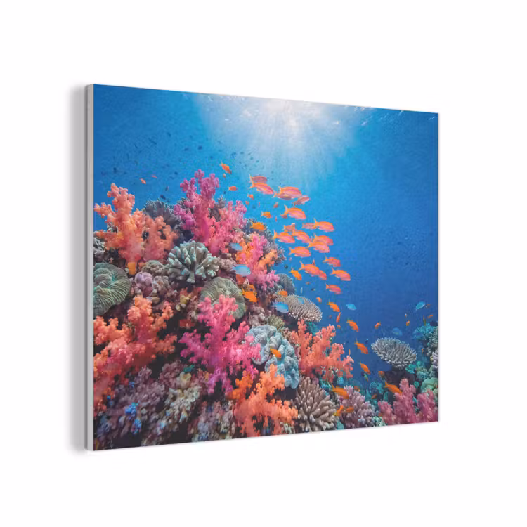 Onderwater - Koraalrif - Vissen - Oceaan - Natuur PET vilt klein -3d