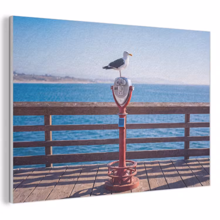 Vogel - Verrekijker - Kust - Zee - Blauw PET vilt klein -3d