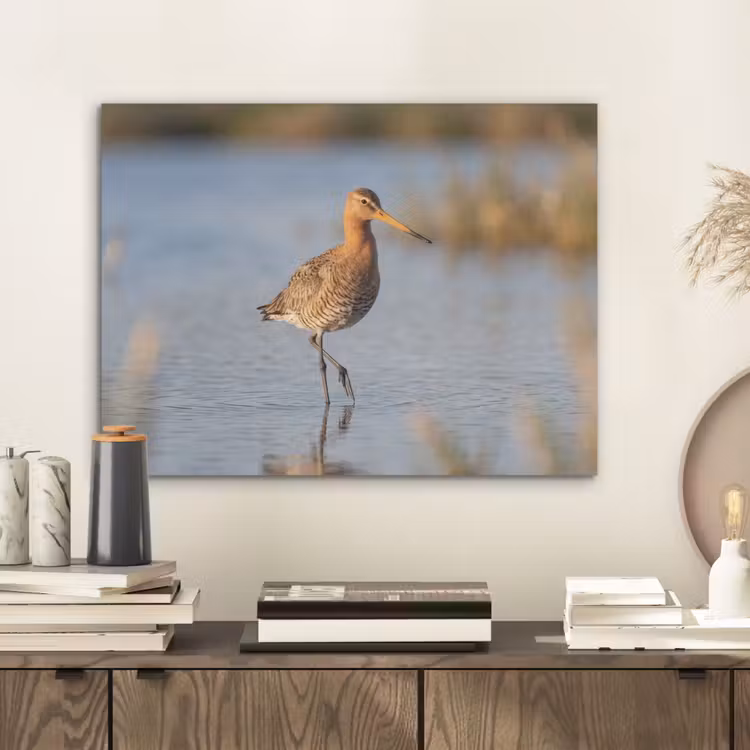 Vogel - Steltloper - Water - Natuur PET vilt klein -sfeer1