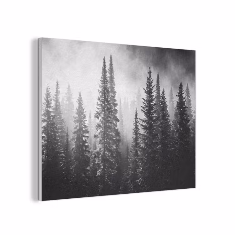 Bos - Mist - Winter - Monochroom - Natuur PET vilt klein -3d