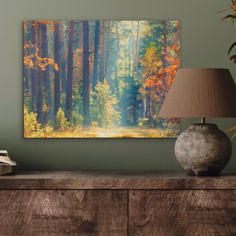 Bos - Zon - Natuur - Herfst PET vilt klein -sfeer2