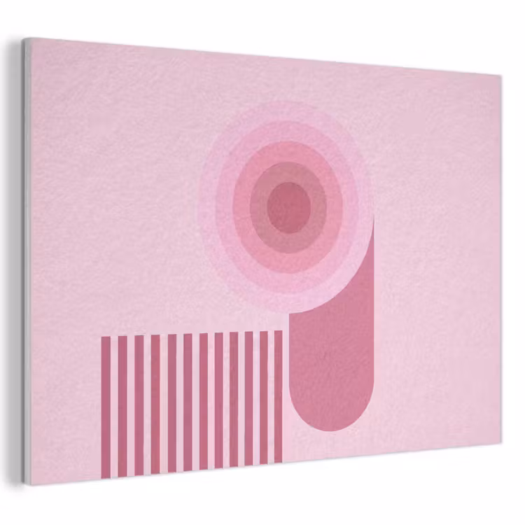 Abstract - Cirkels - Strepen - Modern - Roze PET vilt klein -3d
