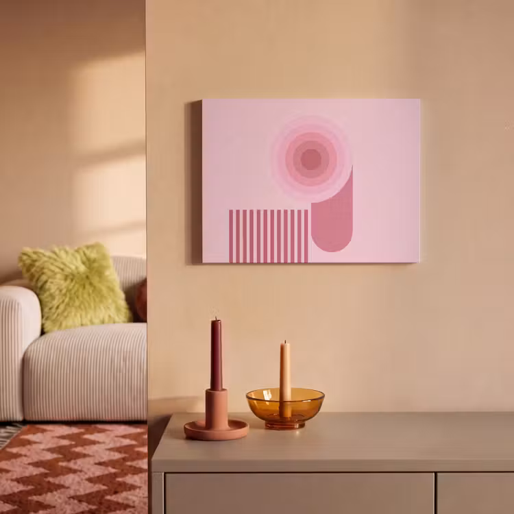 Abstract - Cirkels - Strepen - Modern - Roze PET vilt klein -sfeer1