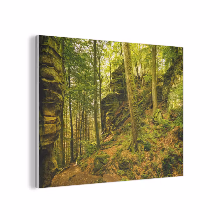 Bomen - Steen - Bos - Natuur - Planten PET vilt klein -3d